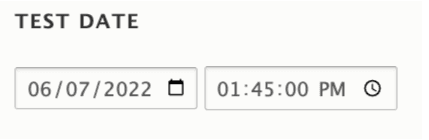 Putting the date example into the date field