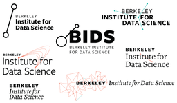 BIDS Logo Round 1