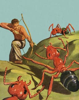 Write an Effective Bug Report, Issue or Ticket