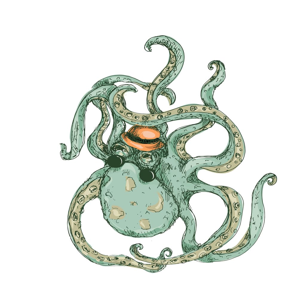 Octopus