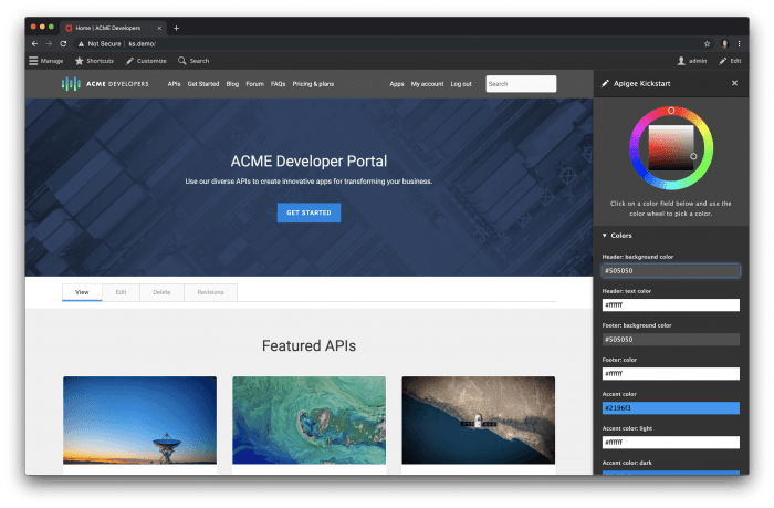 Screenshot of Customizer options on Apigee Kickstart homepage