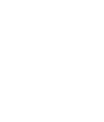 CCHA Logo